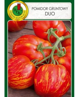pomidor DUO