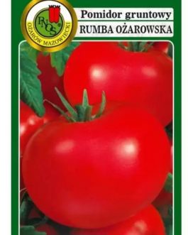 pomidor RUMBA OŻAROWSKA