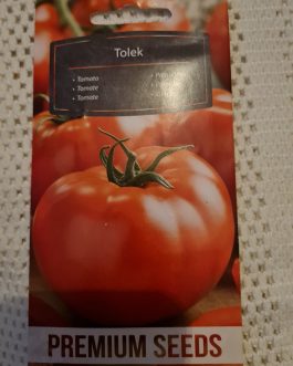 pomidor TOLEK