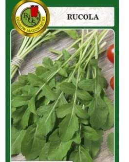 RUCOLA