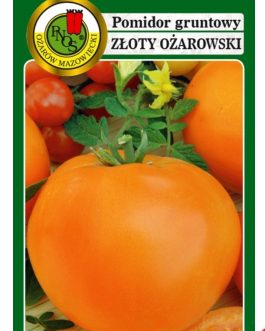pomidor Zloty Ożarowski