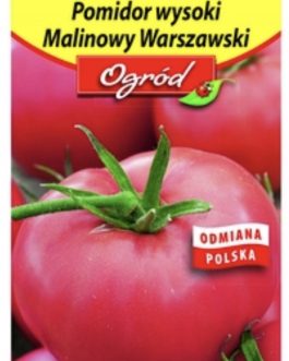 pomidor Malinowy Warszawski