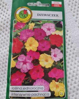 Dziwaczek