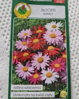 ZŁOCIEŃ trwały