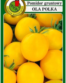 pomidor Ola Polka, żółte, dobre do doniczek
