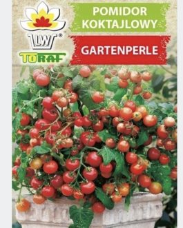 pomidor Gartenperle, doniczkowy, koktajlowy