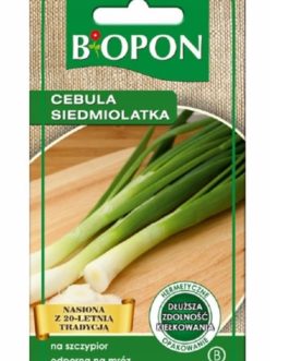 Cebula siedmiolatka na szczypior , non GMO