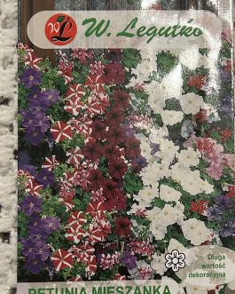 Petunia zwieszająca