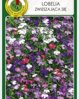 Lobelia zwieszająca