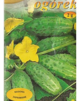 Ogórek Polan f1