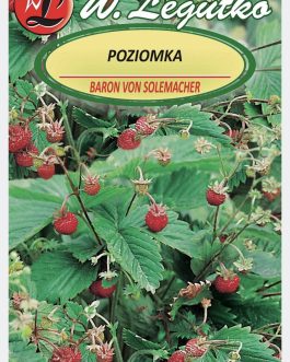 Poziomka Baron von Solemacher