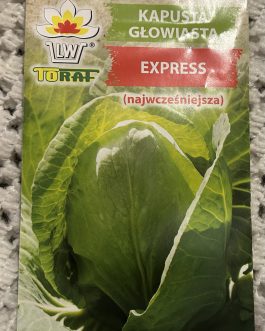 Kapusta express najwcześniejsza